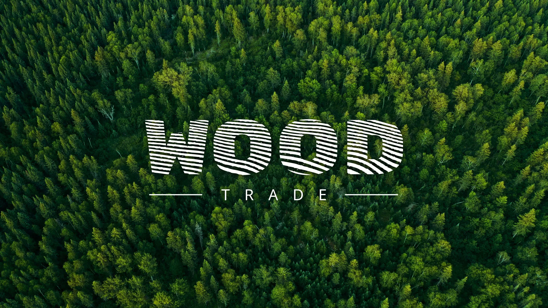 Разработка интернет-магазина компании «Wood Trade» в Тайге